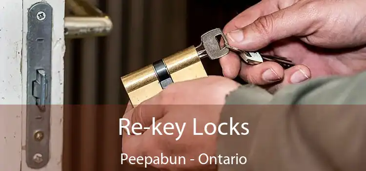 Re-key Locks Peepabun - Ontario