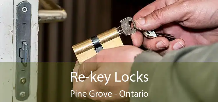 Re-key Locks Pine Grove - Ontario