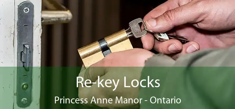 Re-key Locks Princess Anne Manor - Ontario