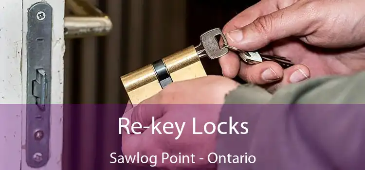 Re-key Locks Sawlog Point - Ontario