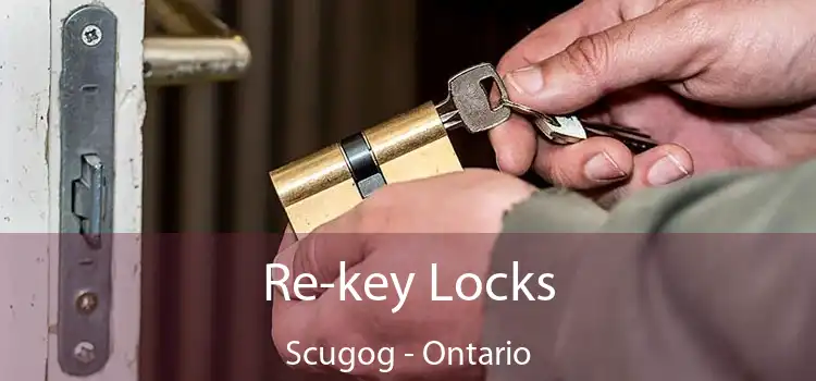 Re-key Locks Scugog - Ontario