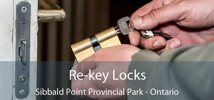 Re-key Locks Sibbald Point Provincial Park - Ontario