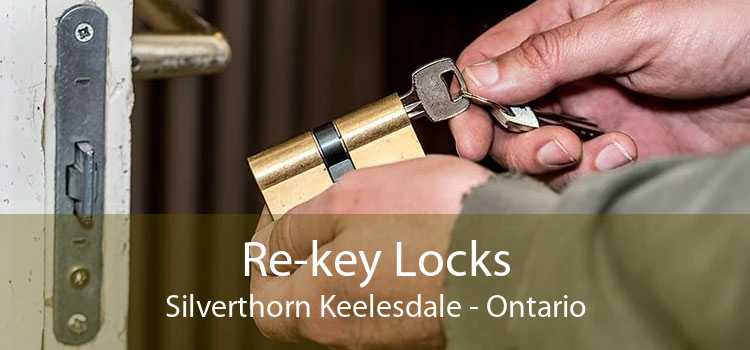 Re-key Locks Silverthorn Keelesdale - Ontario