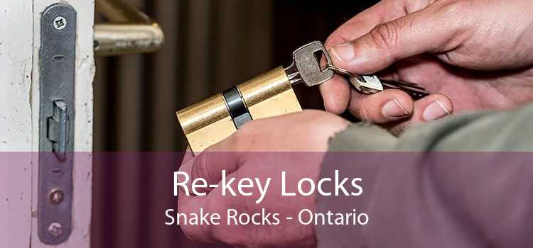 Re-key Locks Snake Rocks - Ontario