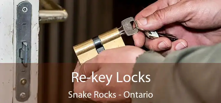Re-key Locks Snake Rocks - Ontario