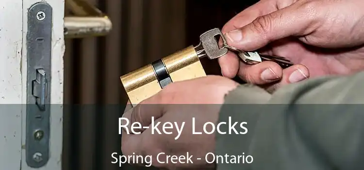 Re-key Locks Spring Creek - Ontario