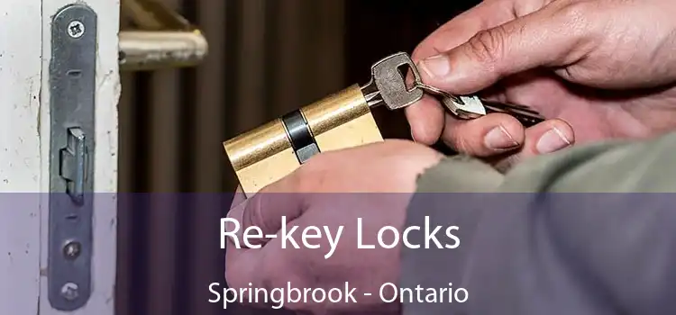 Re-key Locks Springbrook - Ontario