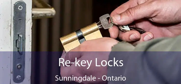 Re-key Locks Sunningdale - Ontario