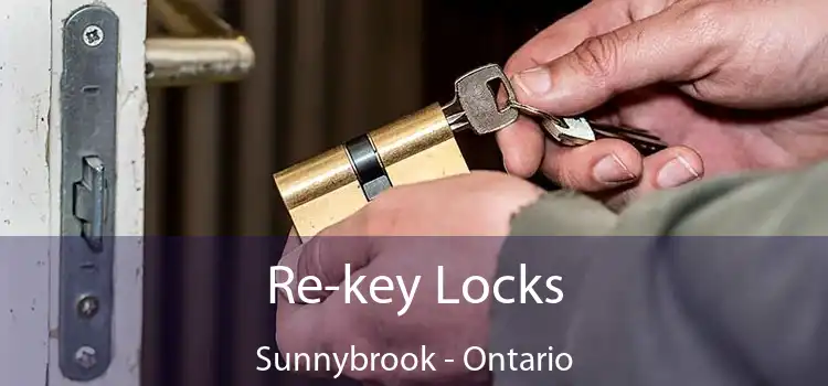 Re-key Locks Sunnybrook - Ontario