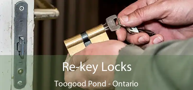 Re-key Locks Toogood Pond - Ontario