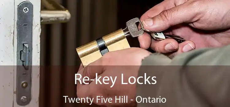 Re-key Locks Twenty Five Hill - Ontario