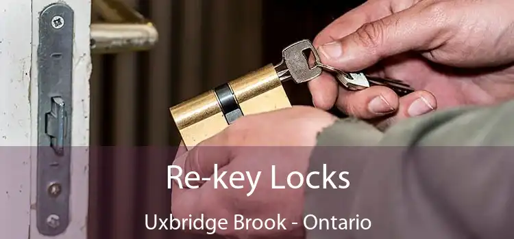 Re-key Locks Uxbridge Brook - Ontario