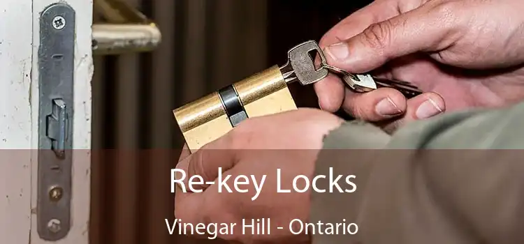 Re-key Locks Vinegar Hill - Ontario