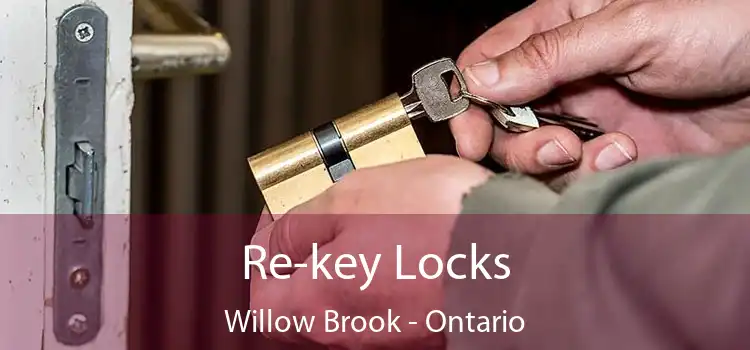 Re-key Locks Willow Brook - Ontario