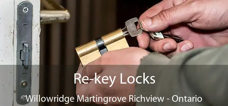 Re-key Locks Willowridge Martingrove Richview - Ontario