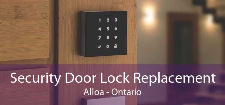 Security Door Lock Replacement Alloa - Ontario
