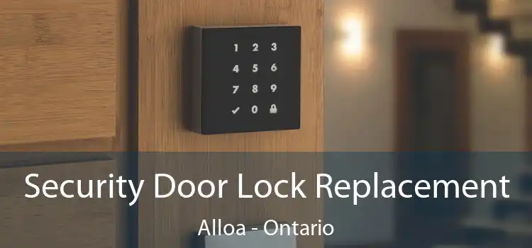 Security Door Lock Replacement Alloa - Ontario
