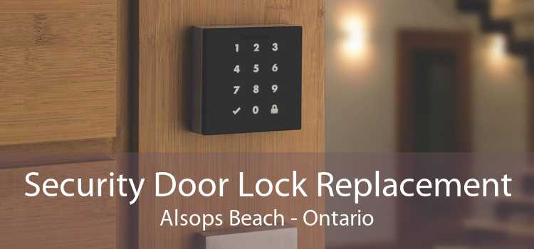 Security Door Lock Replacement Alsops Beach - Ontario