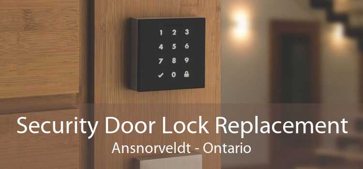 Security Door Lock Replacement Ansnorveldt - Ontario