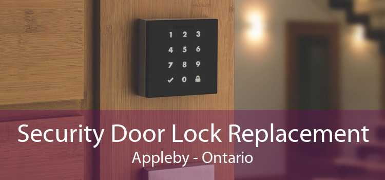 Security Door Lock Replacement Appleby - Ontario