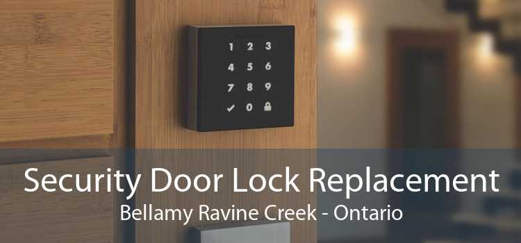 Security Door Lock Replacement Bellamy Ravine Creek - Ontario