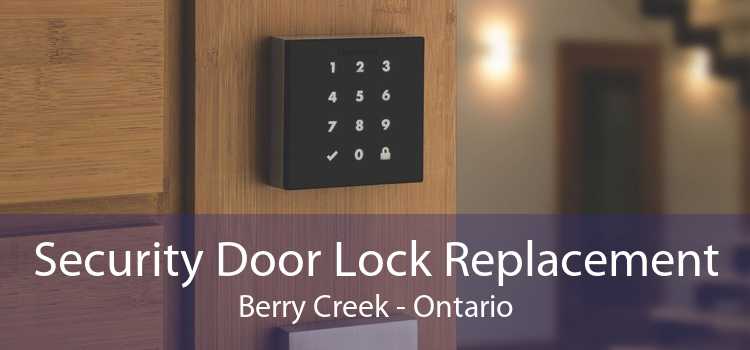 Security Door Lock Replacement Berry Creek - Ontario