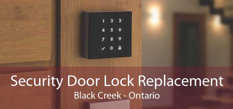 Security Door Lock Replacement Black Creek - Ontario