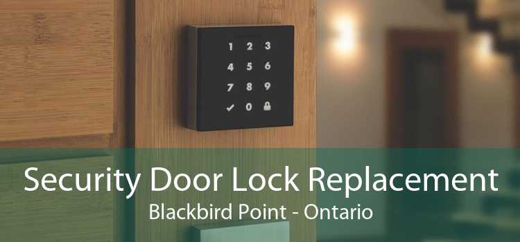 Security Door Lock Replacement Blackbird Point - Ontario