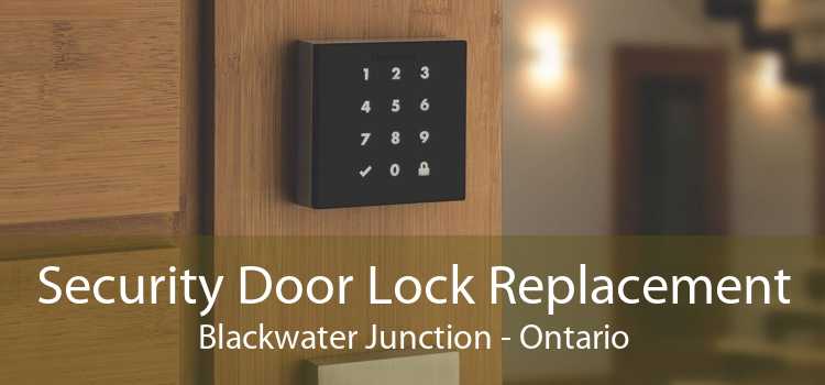 Security Door Lock Replacement Blackwater Junction - Ontario