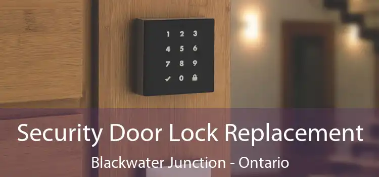 Security Door Lock Replacement Blackwater Junction - Ontario
