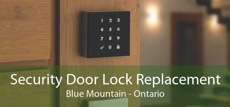 Security Door Lock Replacement Blue Mountain - Ontario
