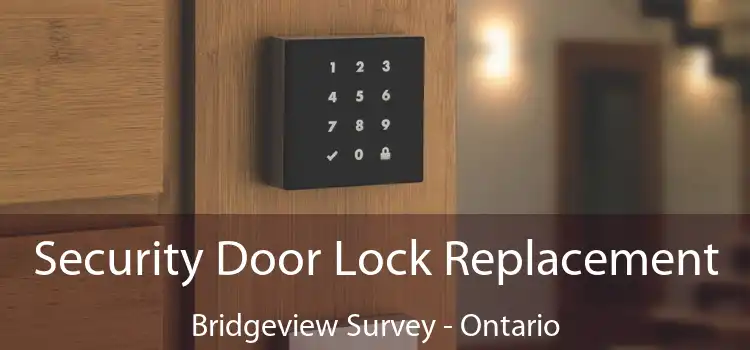 Security Door Lock Replacement Bridgeview Survey - Ontario