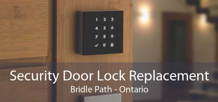 Security Door Lock Replacement Bridle Path - Ontario