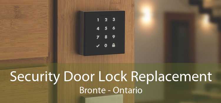 Security Door Lock Replacement Bronte - Ontario