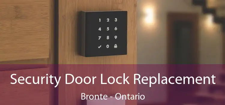 Security Door Lock Replacement Bronte - Ontario