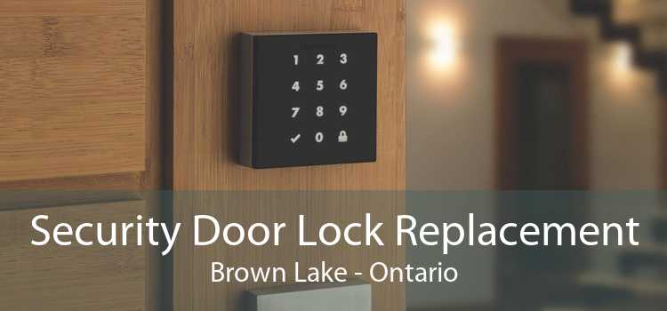 Security Door Lock Replacement Brown Lake - Ontario