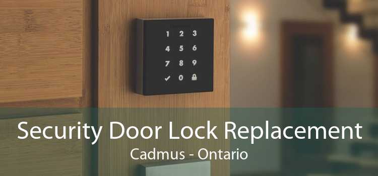 Security Door Lock Replacement Cadmus - Ontario