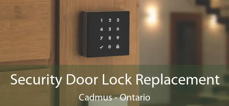 Security Door Lock Replacement Cadmus - Ontario