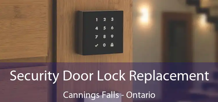 Security Door Lock Replacement Cannings Falls - Ontario