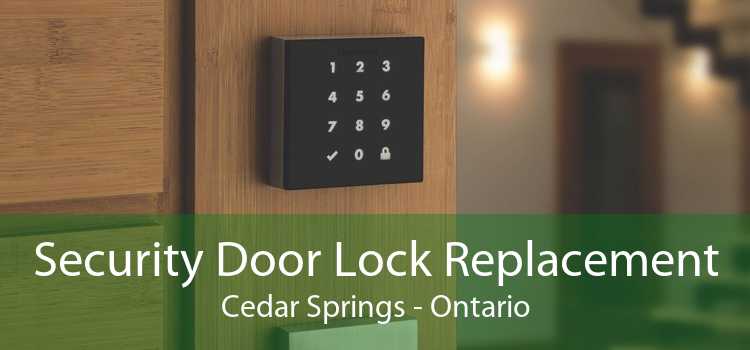 Security Door Lock Replacement Cedar Springs - Ontario