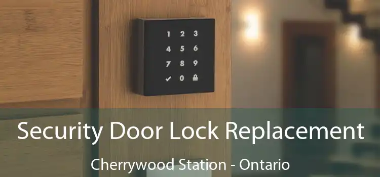 Security Door Lock Replacement Cherrywood Station - Ontario