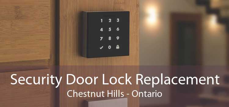 Security Door Lock Replacement Chestnut Hills - Ontario
