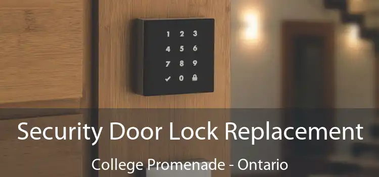 Security Door Lock Replacement College Promenade - Ontario