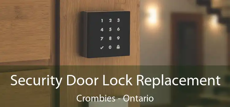Security Door Lock Replacement Crombies - Ontario