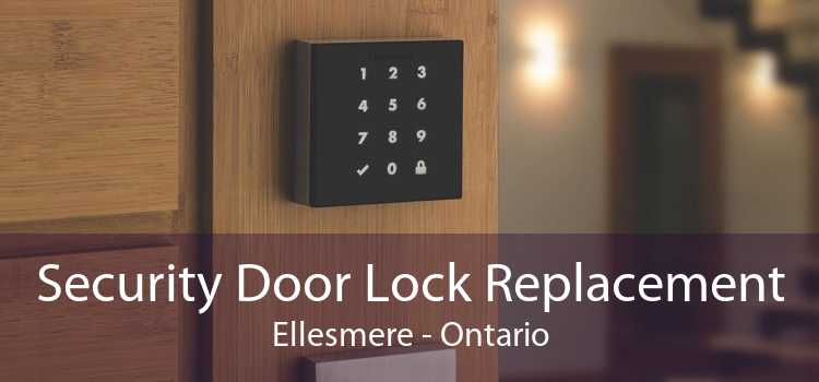 Security Door Lock Replacement Ellesmere - Ontario