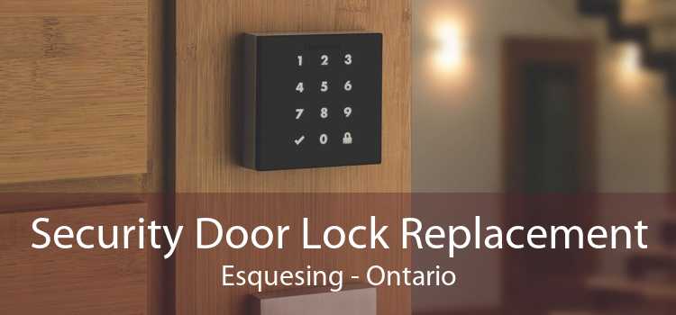 Security Door Lock Replacement Esquesing - Ontario