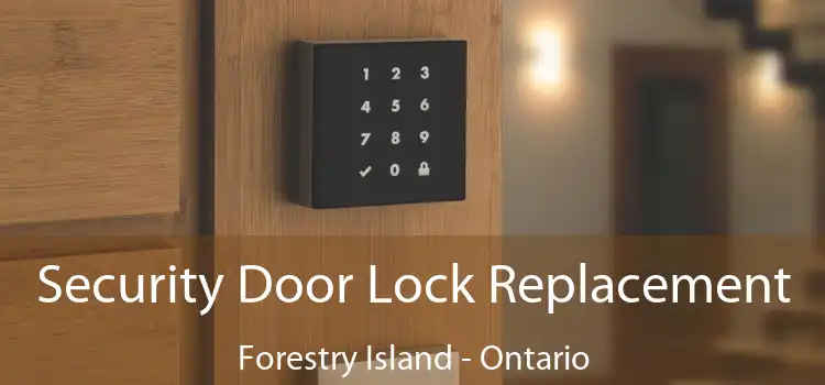 Security Door Lock Replacement Forestry Island - Ontario