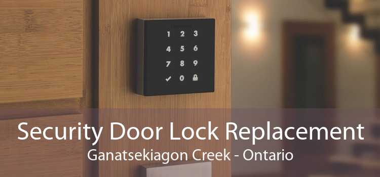 Security Door Lock Replacement Ganatsekiagon Creek - Ontario