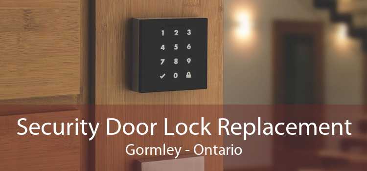 Security Door Lock Replacement Gormley - Ontario