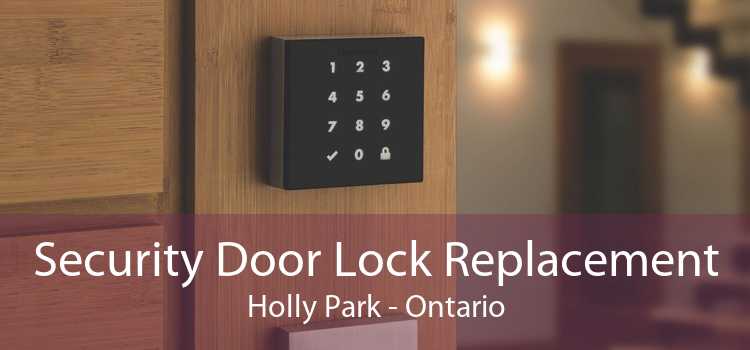 Security Door Lock Replacement Holly Park - Ontario